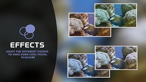 aquário romântico grátis HD - decore seu quarto com um lindo aquário em sua TV HDR 4K, TV 8K e dispo