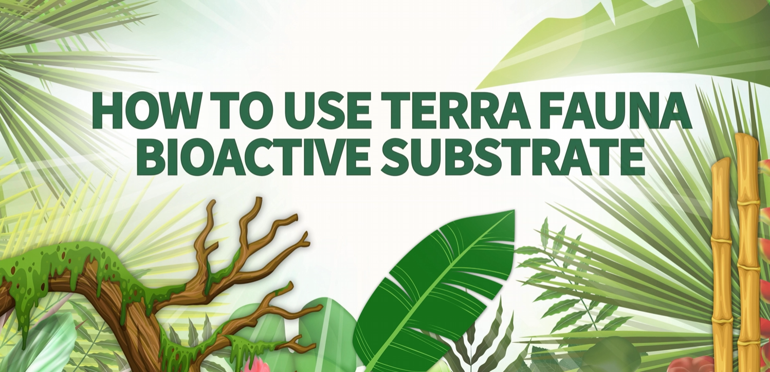 The Bio Dude Terra Fauna Bioactive Reptile Substrate 6 quarts for Terrarium and Vivarium Habitat. Great for Crested Geckos, Gargoyle Geckos, Day Geckos, Whites Tree Frogs and Indoor Gardening - image 8