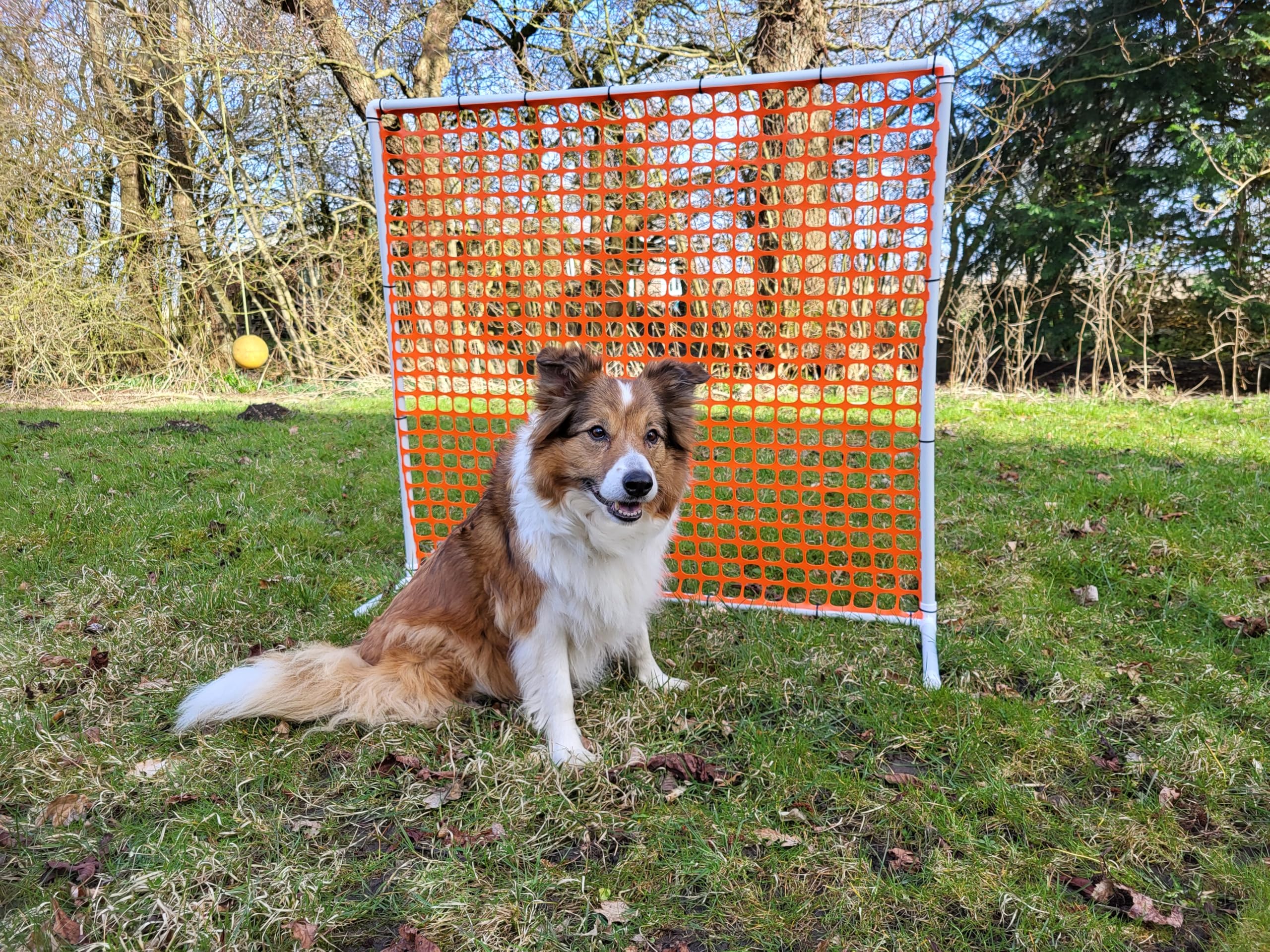 Generisch HOOPERS Agility Combi - Set / 1 Gate / 3 Hoopers Bögen/Gatter/Trennzaun, Hoopers Bogen/aus Kunststoff, NADAC Hoopers, Fun Hoopers, Hundesport