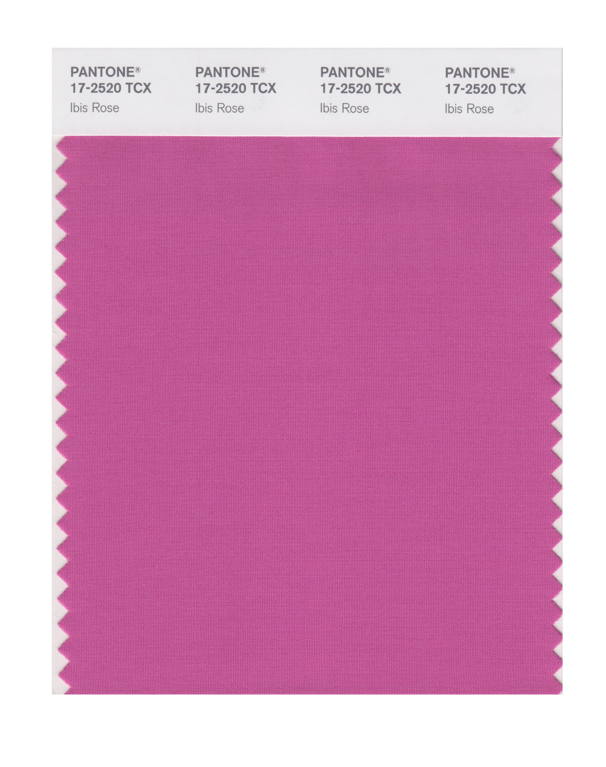 PANTONE Smart 17-2520X Color Swatch Card, Ibis Rose