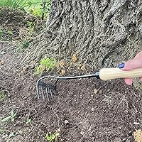 Vista 3 de Rastrillo de mano DeWit Bio