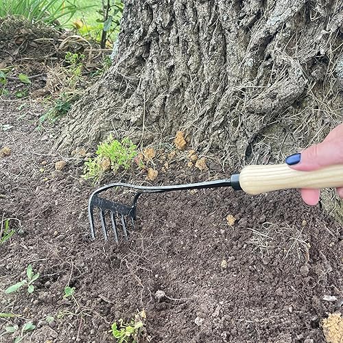 Miniatura 3 de Rastrillo de mano DeWit Bio