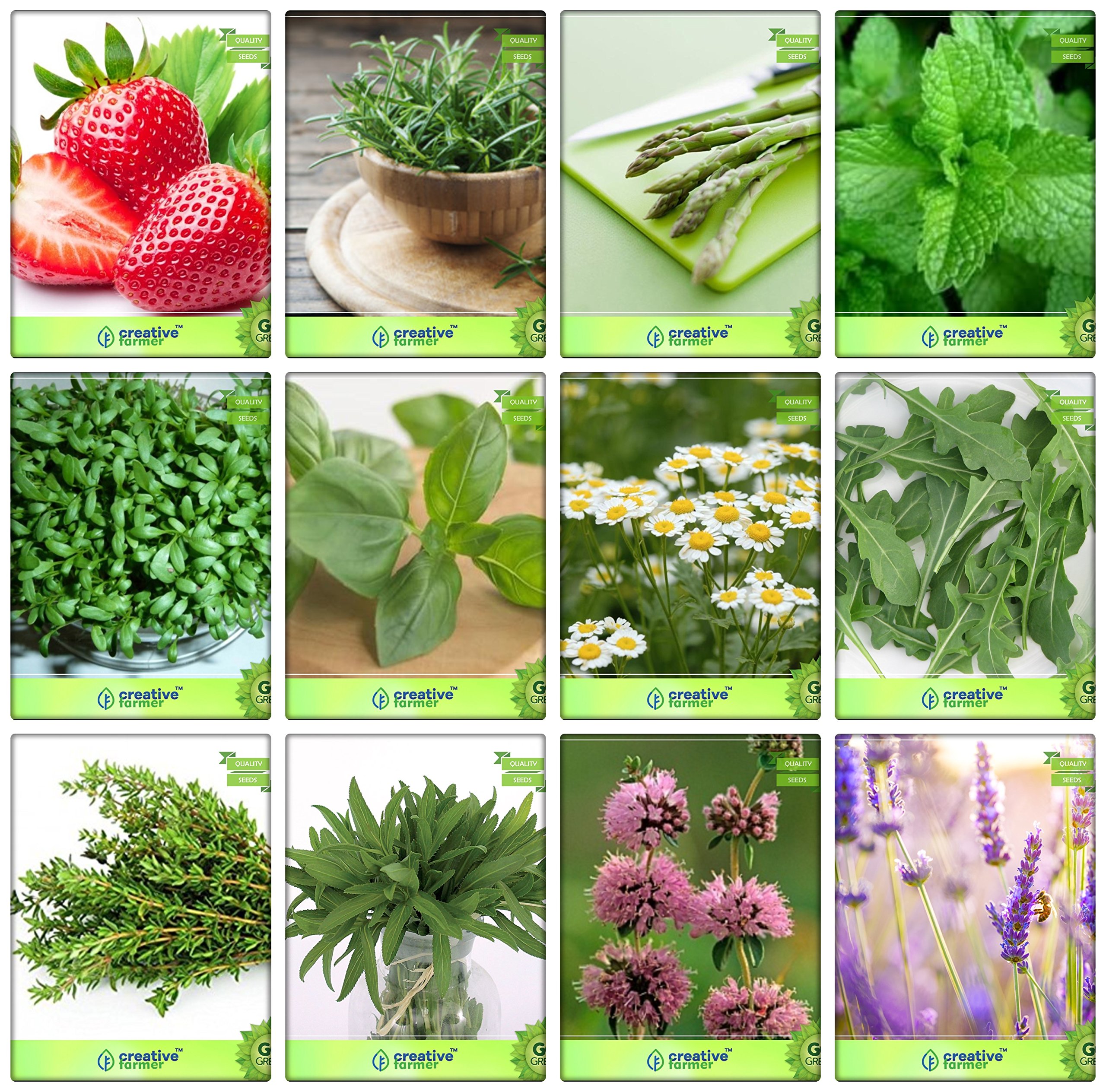 Creative Farmer Herb Seeds Combos For Planting Alpine Strawberry, Rosemary, Asparagus, Mint, Cress Common, Lemon Basil, German Chamomille, Wild Rocket, Thyme English Winter and Others -3 Packs (B078V3D61V) Amazon Price History, Amazon Price Tracker