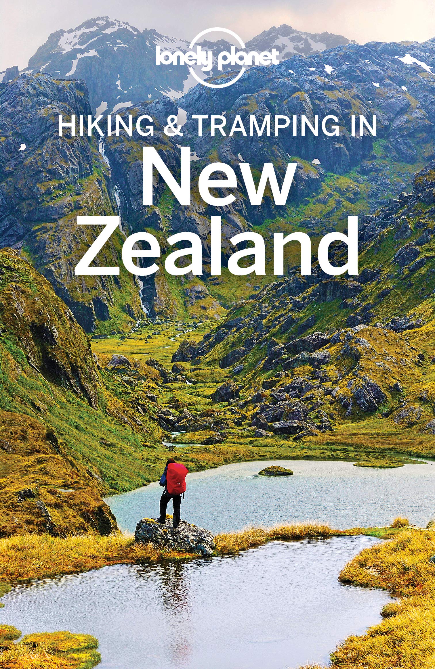 Lonely Planet Hiking & Tramping in New Zealand (Walking Guide)