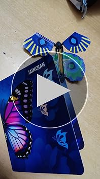 Jainchan® Flying Butterfly Toys/Games | Colourful Butterflies