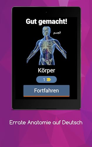 Guess Anatomie in German