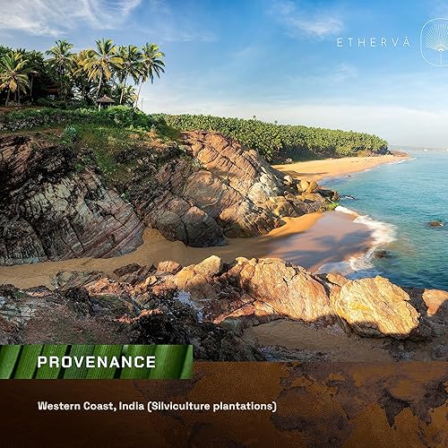 Miniatura 7 de Mantequilla Kokum cruda  Sin refinar, sin desodorizar, sin blanquear  Semillas orgánicas cultivadas en la naturaleza  Fabricación de jabón a granel