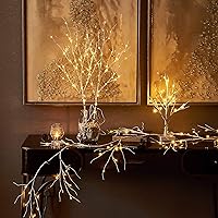 Vista 7 de Hairui Guirnalda de abedul iluminada, funciona con pilas, con 8 funciones, 48 luces blancas cálidas y multicolor, de 6 pies, guirnalda preiluminada