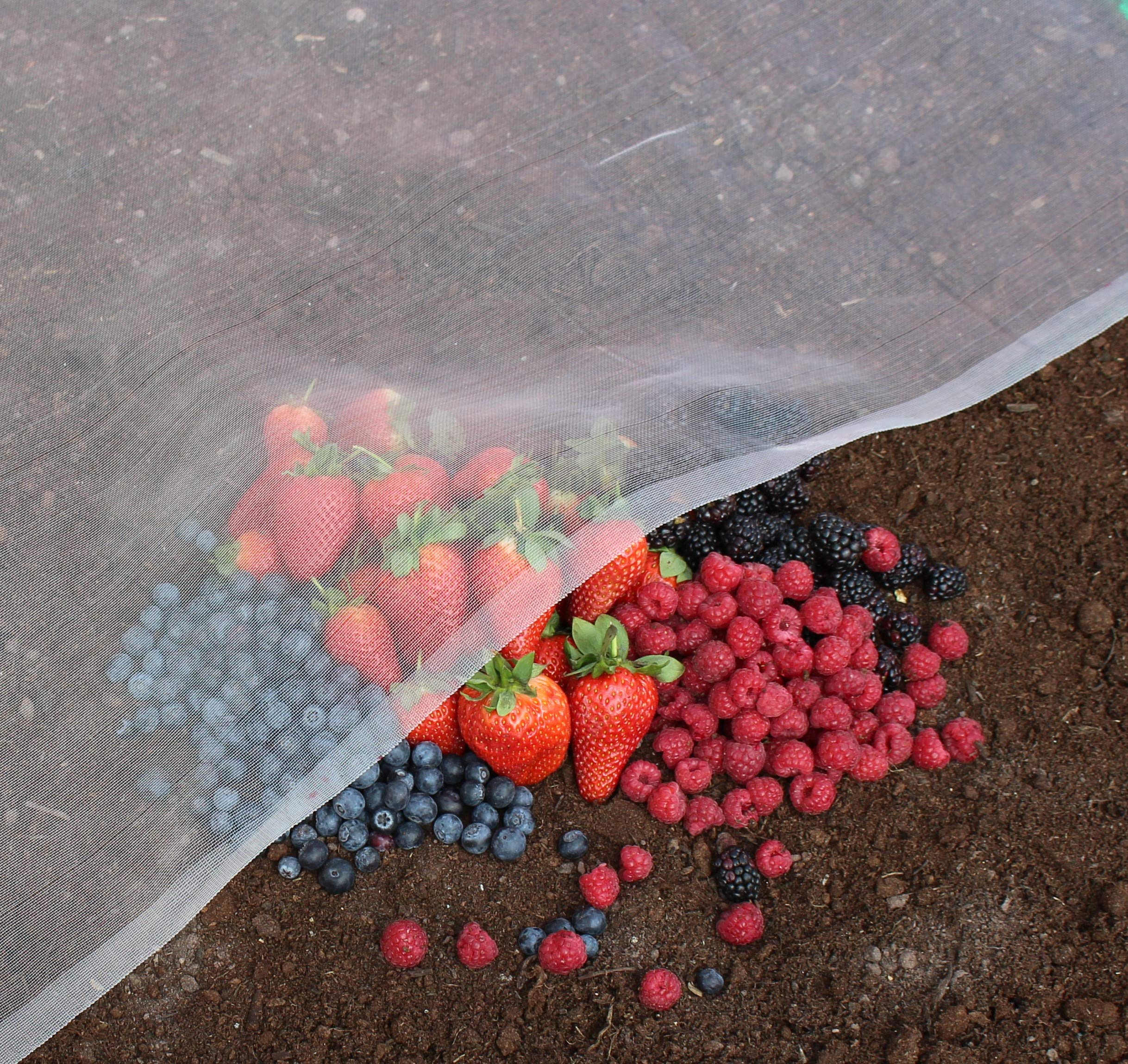 Agralan | HA159 Enviromesh Ultrafine Garden Netting Pest Protection Extra Fine Insect Control - Many (4.2m x 3m)