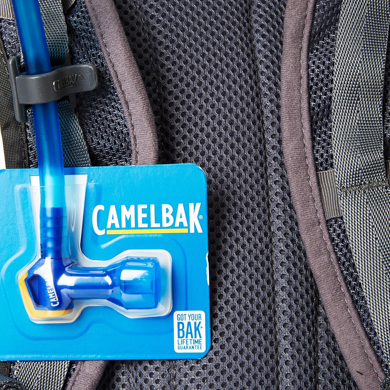 CamelBak Women's Charm 50 oz Hydration Pack