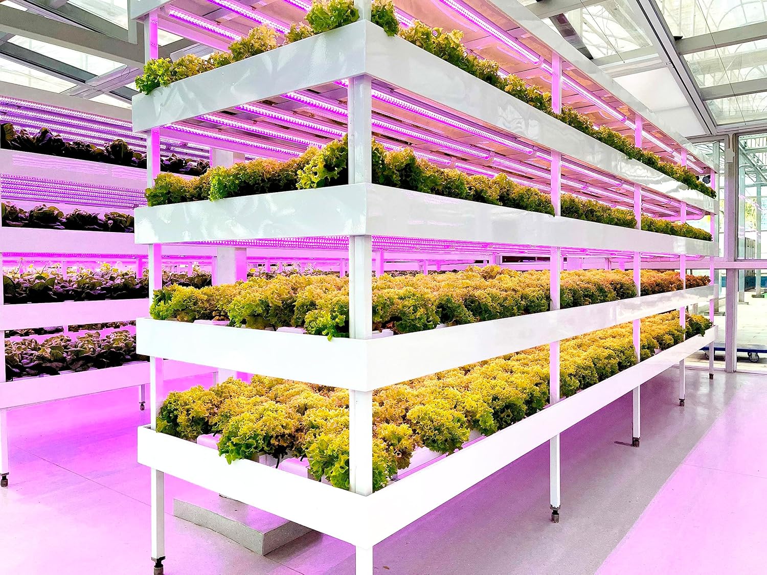 LED Planting ｜Aquaponics, hydroponics, Vertical Planting