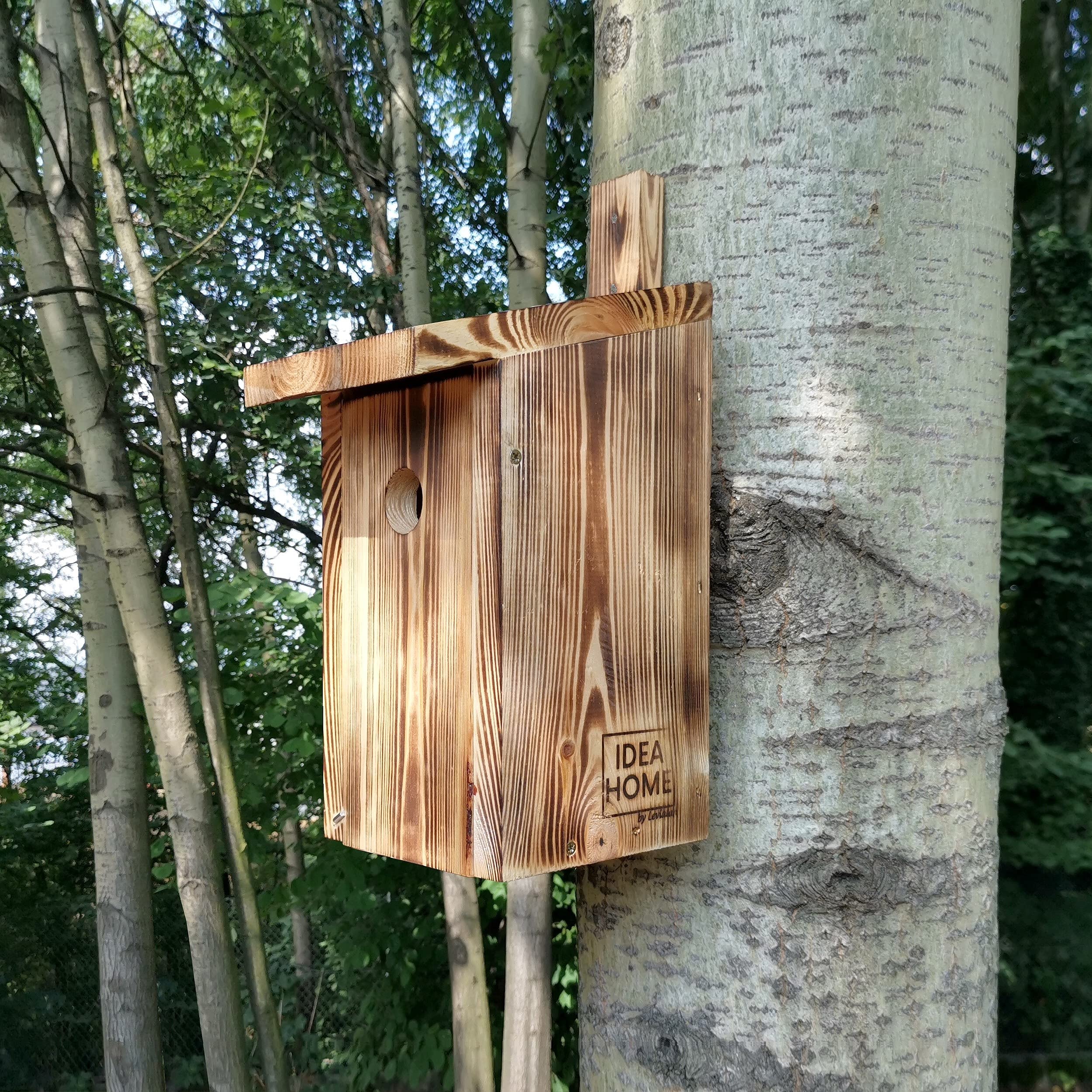 LEVIATAN PARIDAE Nidi Naturali per Cinciallegra, Foro da 33 mm, Legno Massello, Casette per Gli Uccelli, Casette per Uccelli Resistenti alle Intemperie, Pronto all'uso, non richiede montaggio
