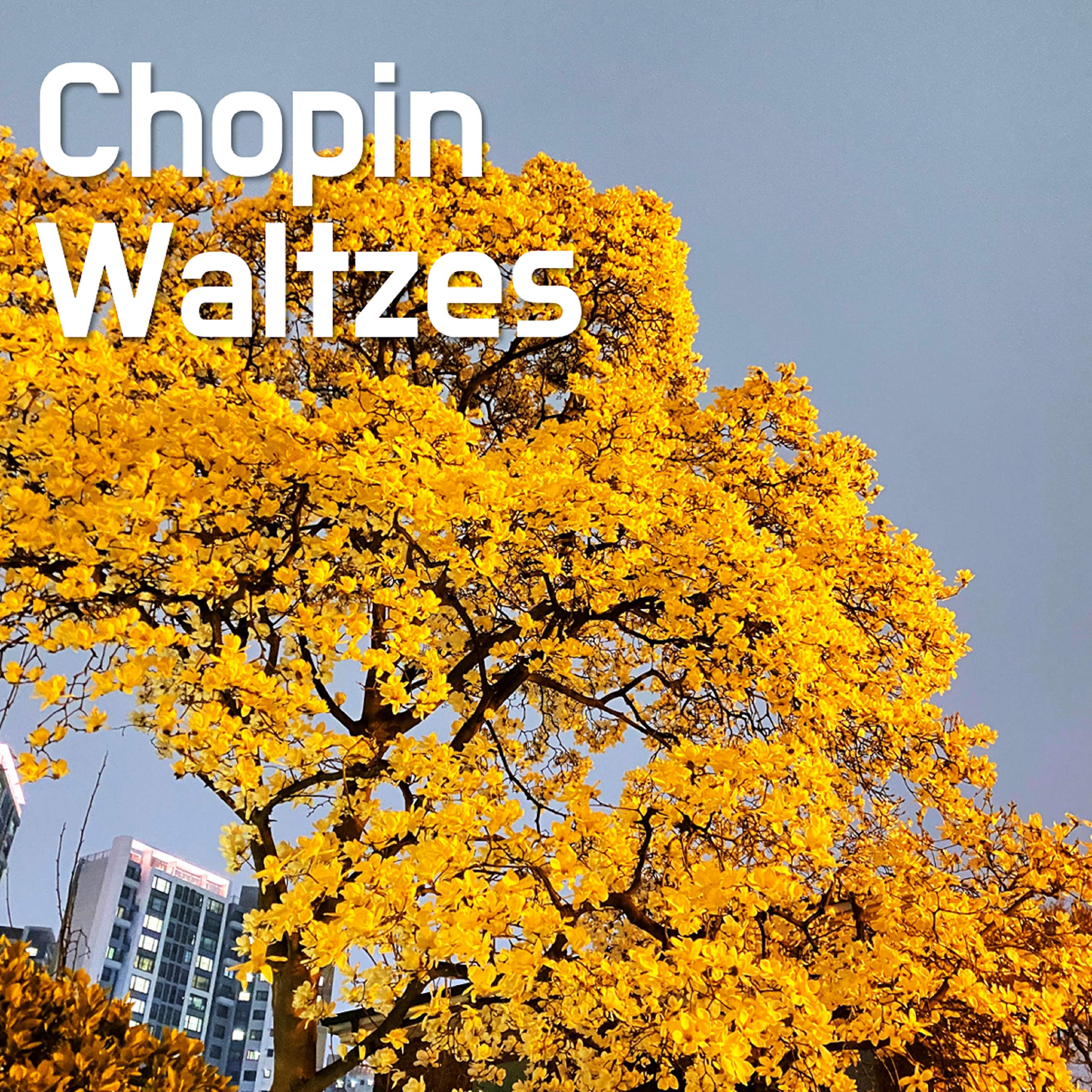 Chopin Waltzes