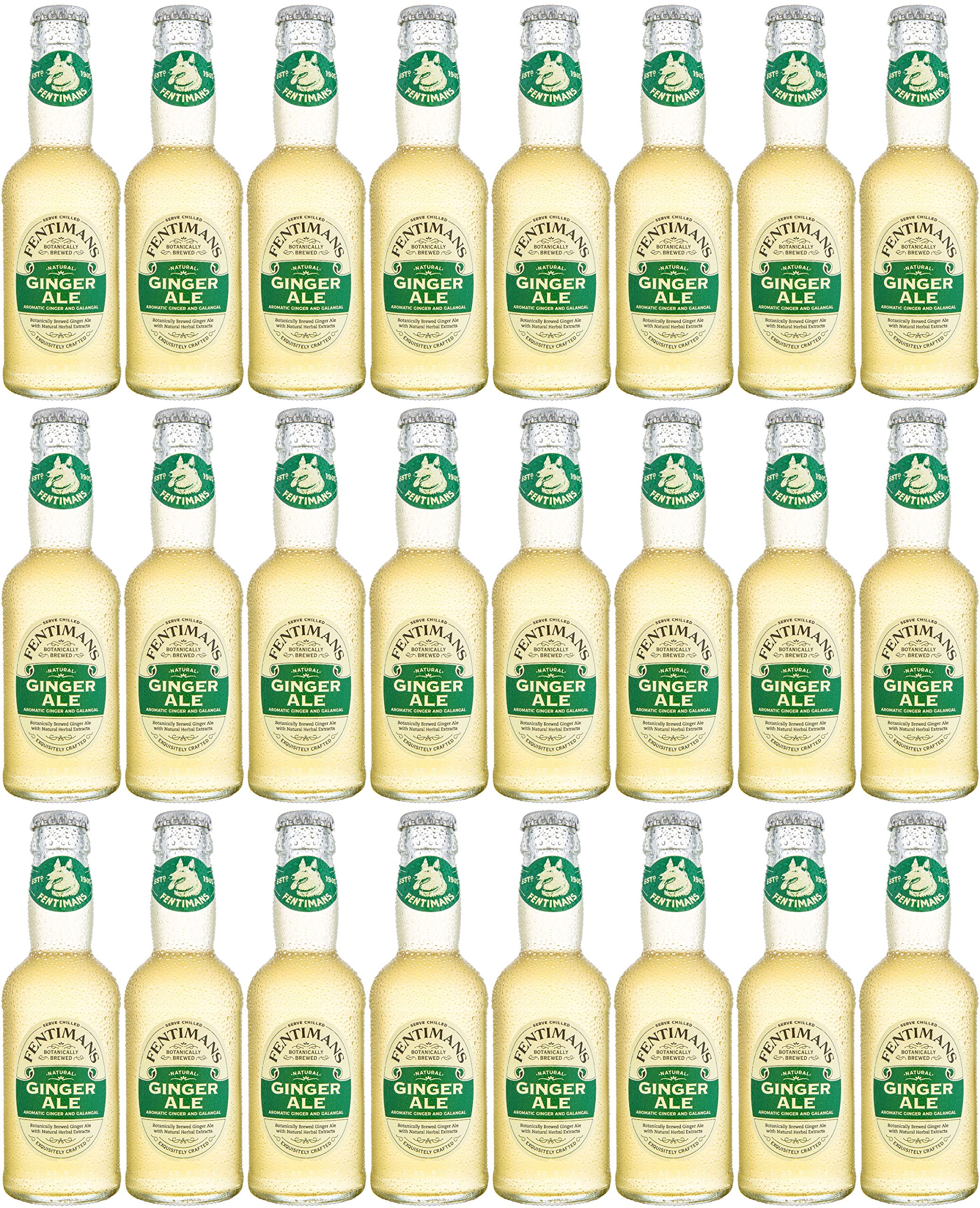 Fentimans Ginger Ale 24 x 200ml