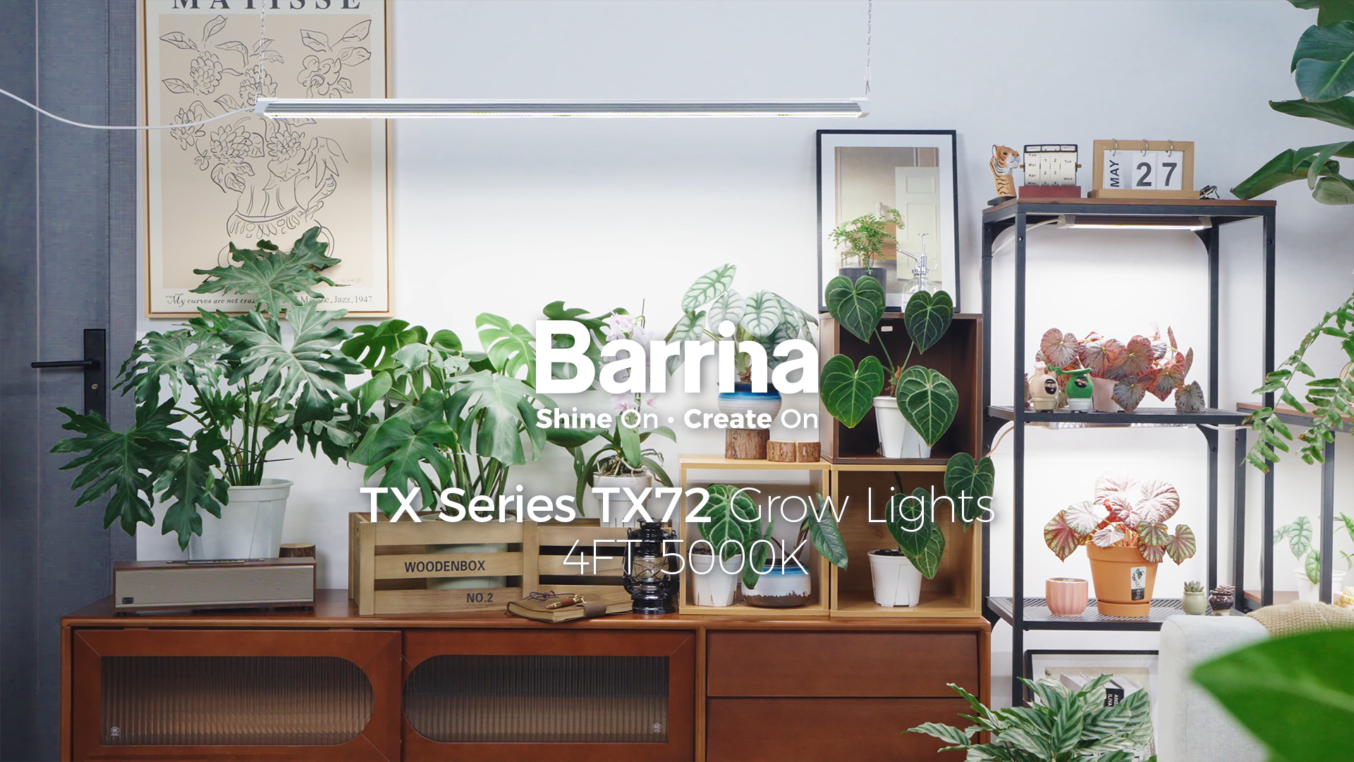 Image of Barrina TX72 4FT Grow Lights for Seed Starting, 288W (4 x 72W, 2000W Equivalent), High PPFD, 5000K Daylight Full Spectrum, Mechanical Timer, Hanging Grow Lights with On /Off Switch Linkable, 4 Packs