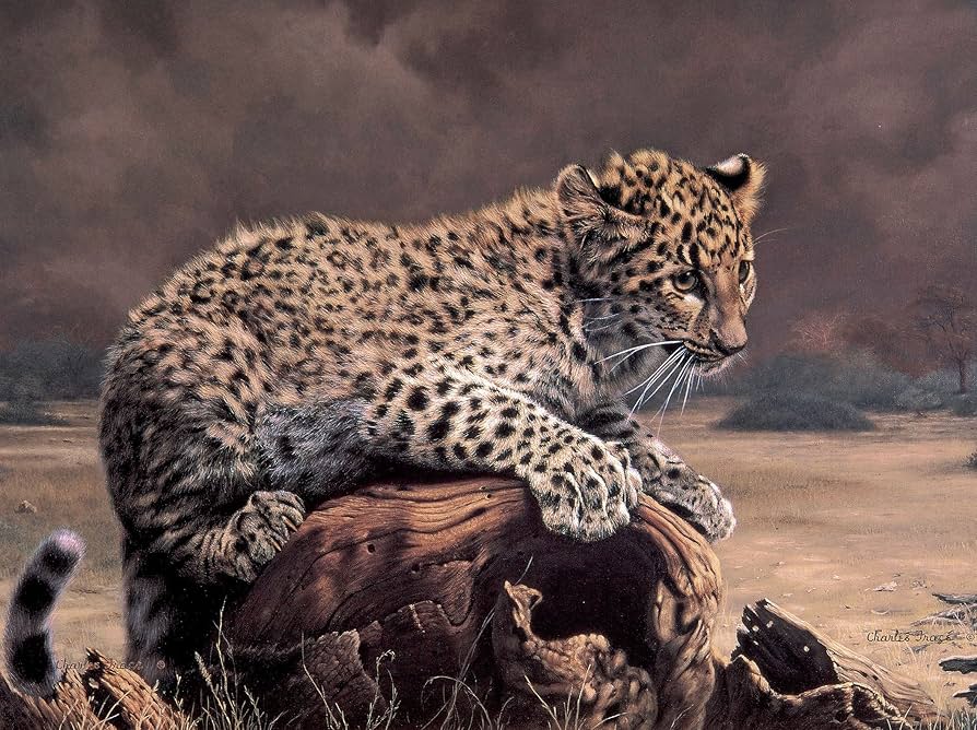 チャールズリンブラッグ\" reopard\" Charles Lynn Bragg - Leopard - 91/100 S/N -Size 20