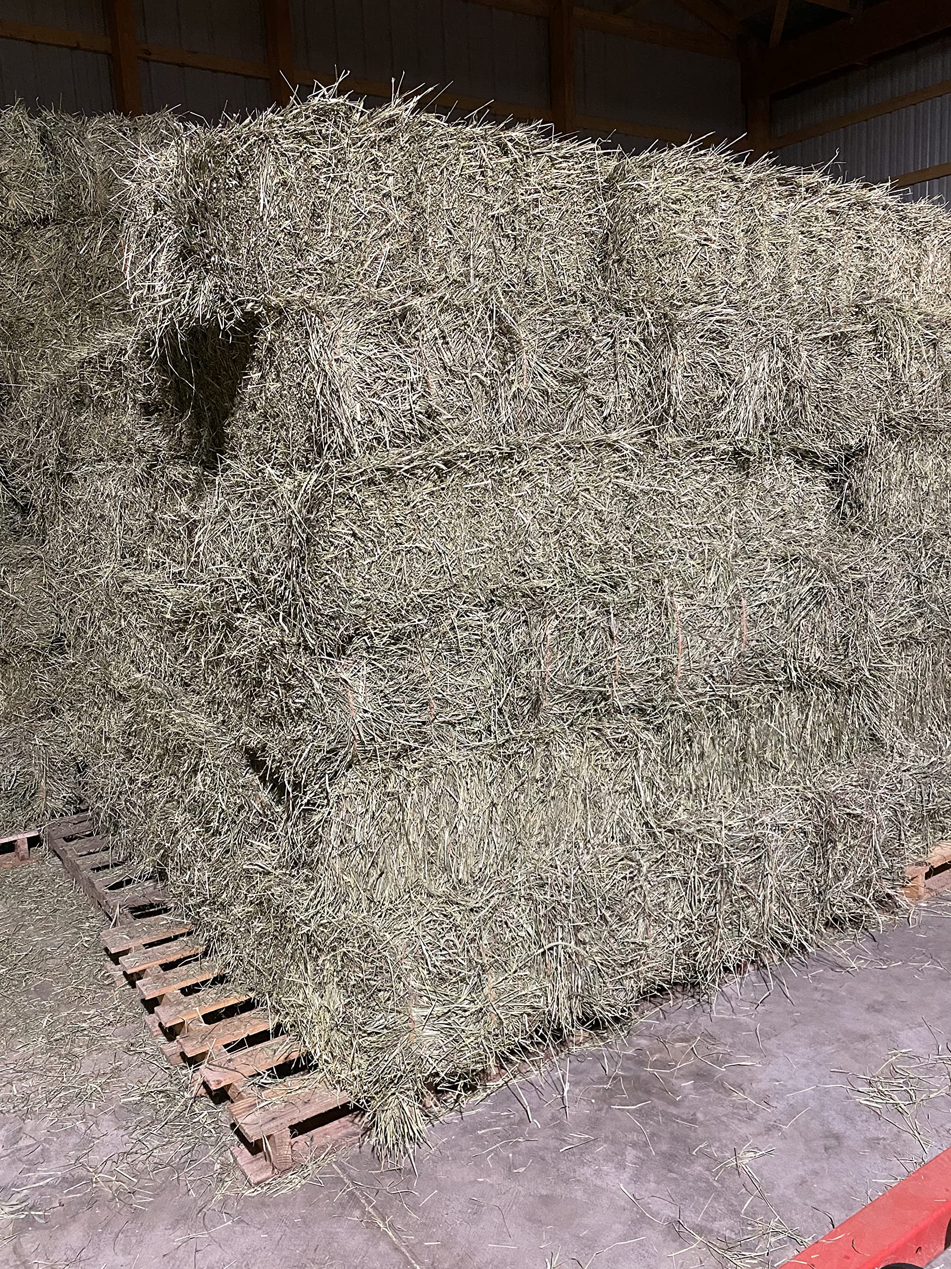FPS Fox Peak Timothy Hay Rabbits, Guinea Pigs, Chinchilla Food (10+ lb.) - image 4