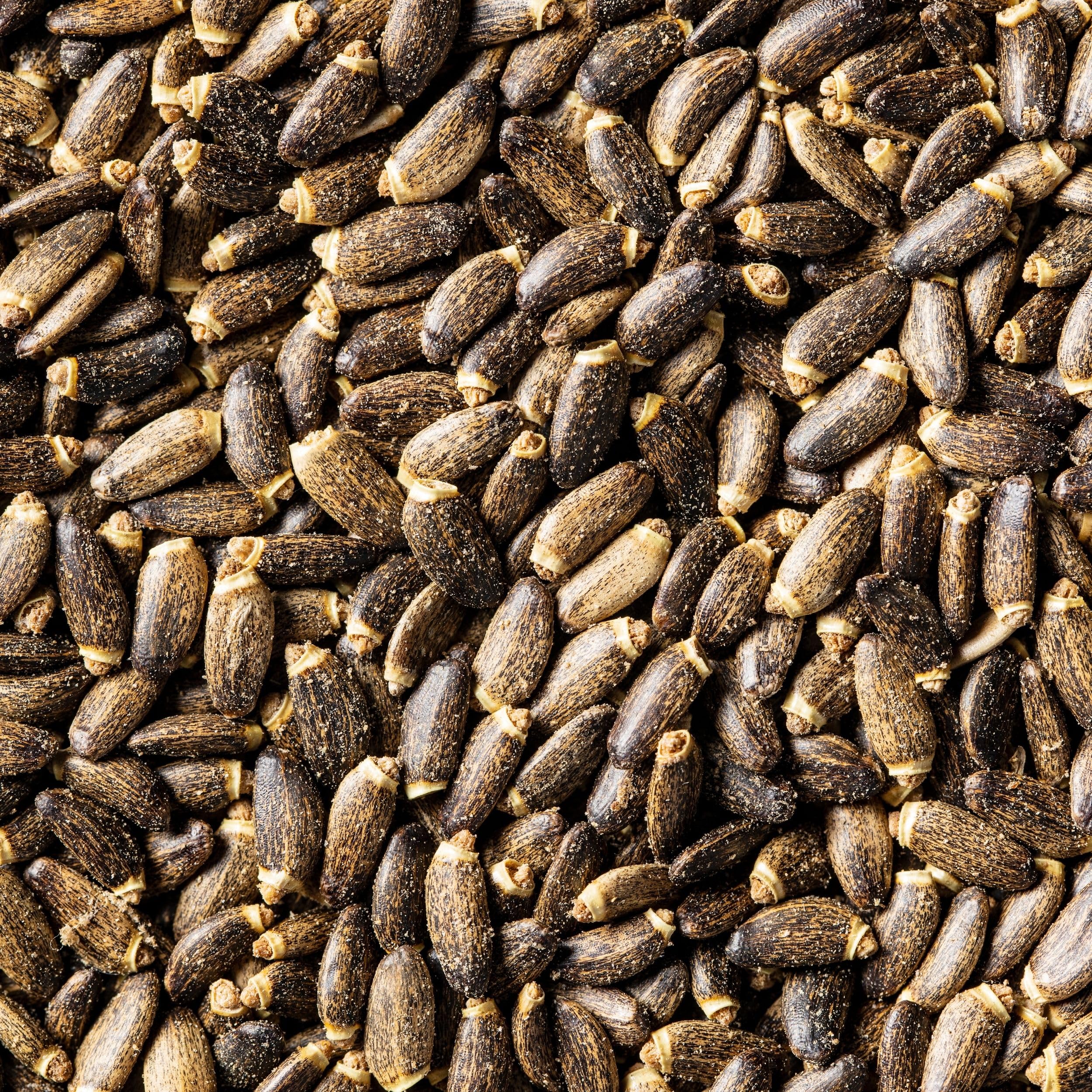 Distel Eselsdistel Samen Riesen 10 kg Frische Samen Schmetterlings - und  Bienenweide Saatgut 10kg Natrliche Gesundheit, Antioxidantien : Amazon.de:  Garten