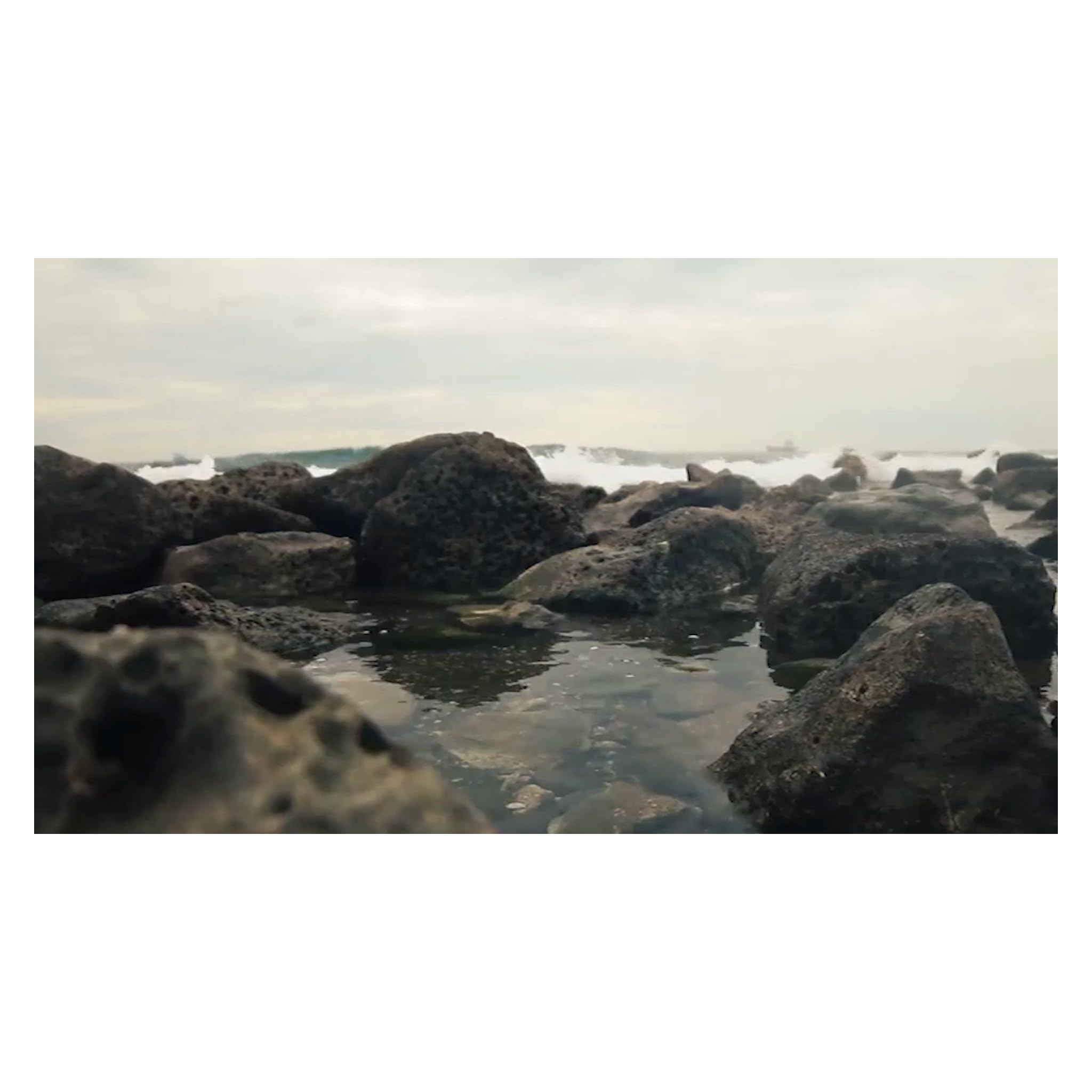 artnaturals Detangling Hair Brush Set (2 Piece Gift Set Pink