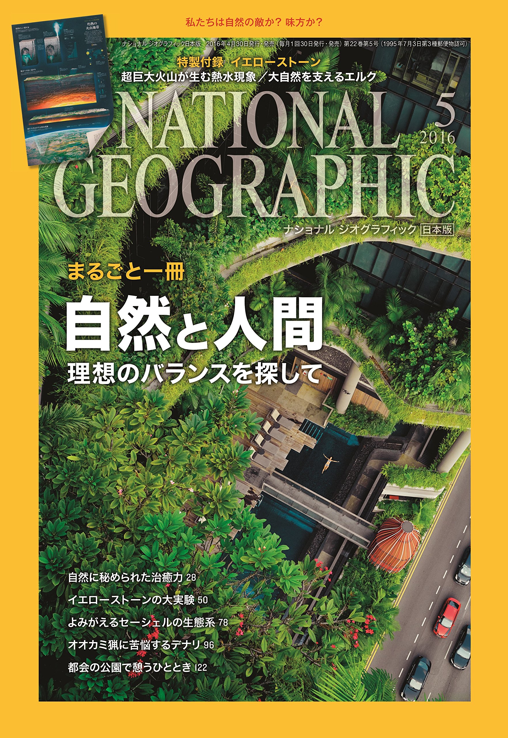 中古】 ナショナルジオグラフィック 2800円 95年5月号-97年4月号 全24