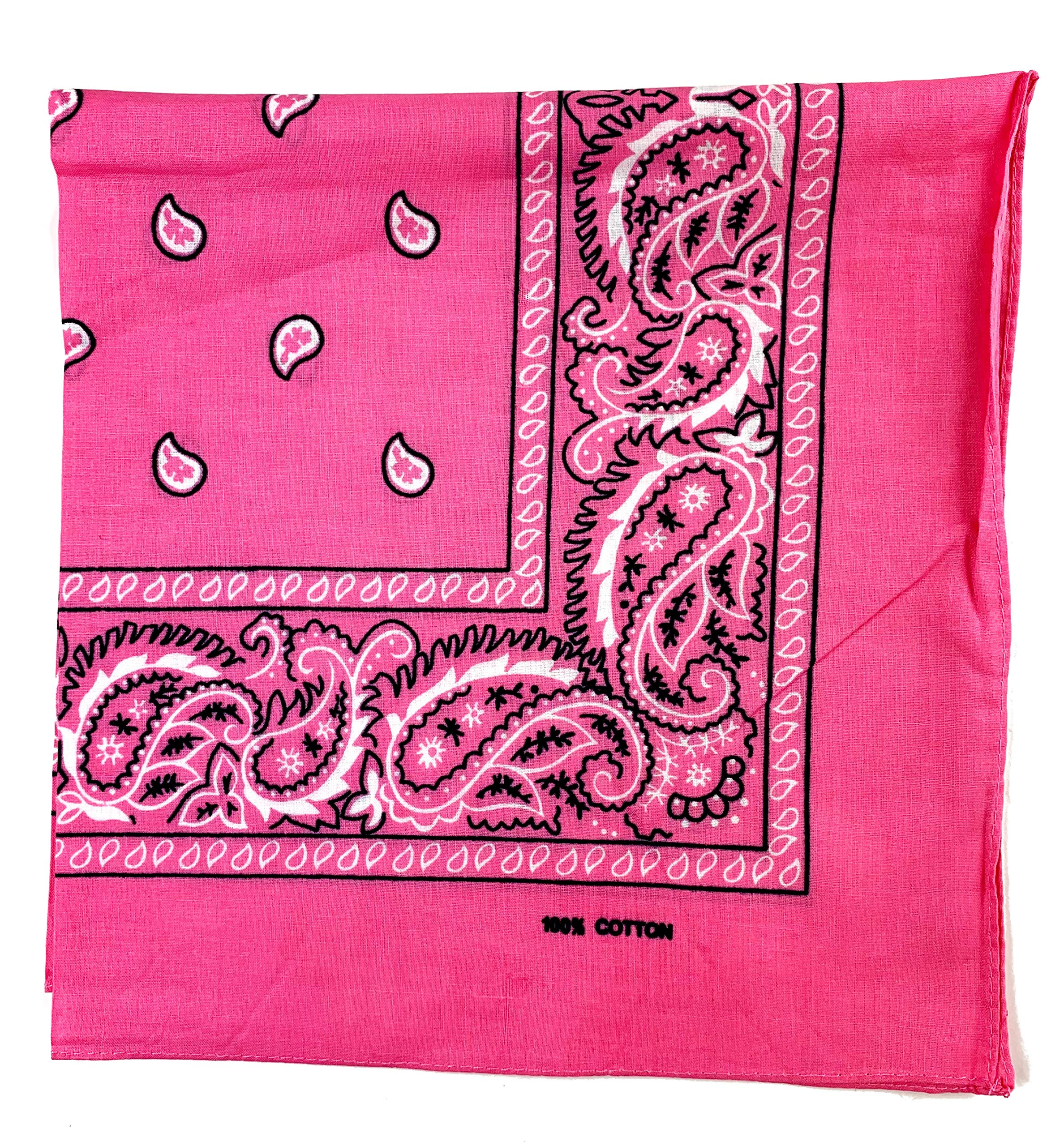 Plum Feathers Paisley Bandana 22 inch x 22 inch Head Wrap Scarf 100% Cotton Mouth Cover (Pink, 12)