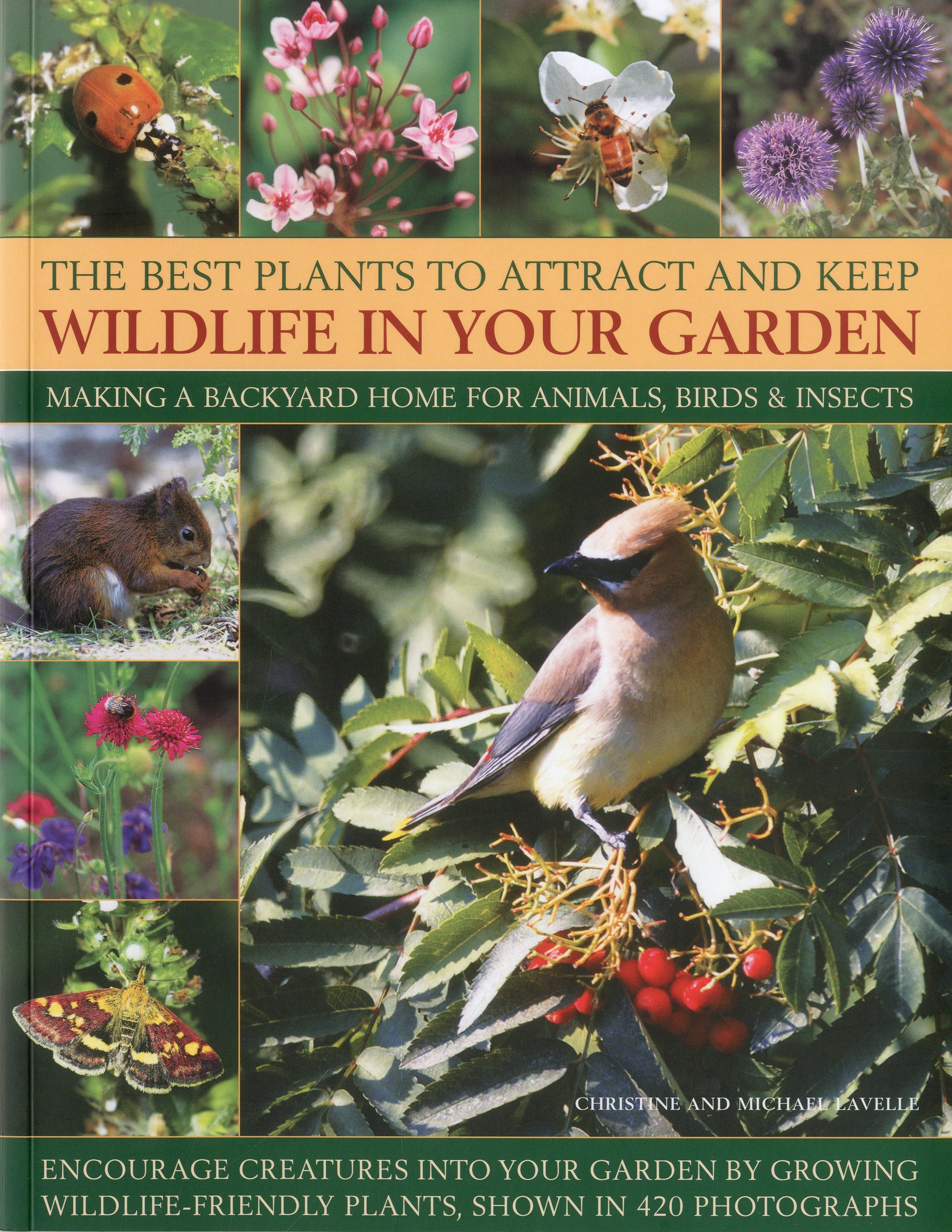 Buy Best s to Attract and Keep Wildlife in the Garden Making a