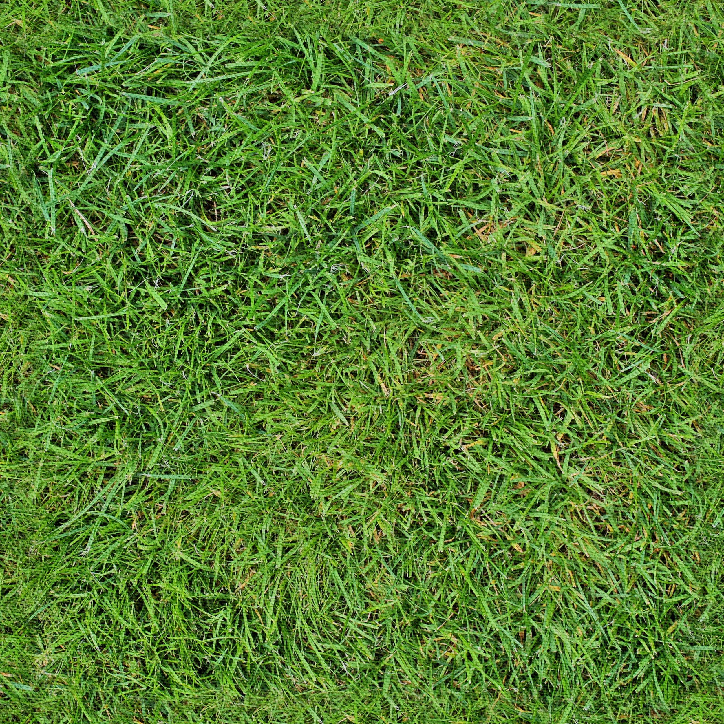 HEKO PANELS Stoff Oxford Wasserdichte Meterware Canvas-Stoff Polyester Stoff Zum Nähen Nähstoffe Möbelstoffe Dekostoffe Handwerken Wasserabweisend Blickdicht Gras 5 Meter 155 x 500 cm