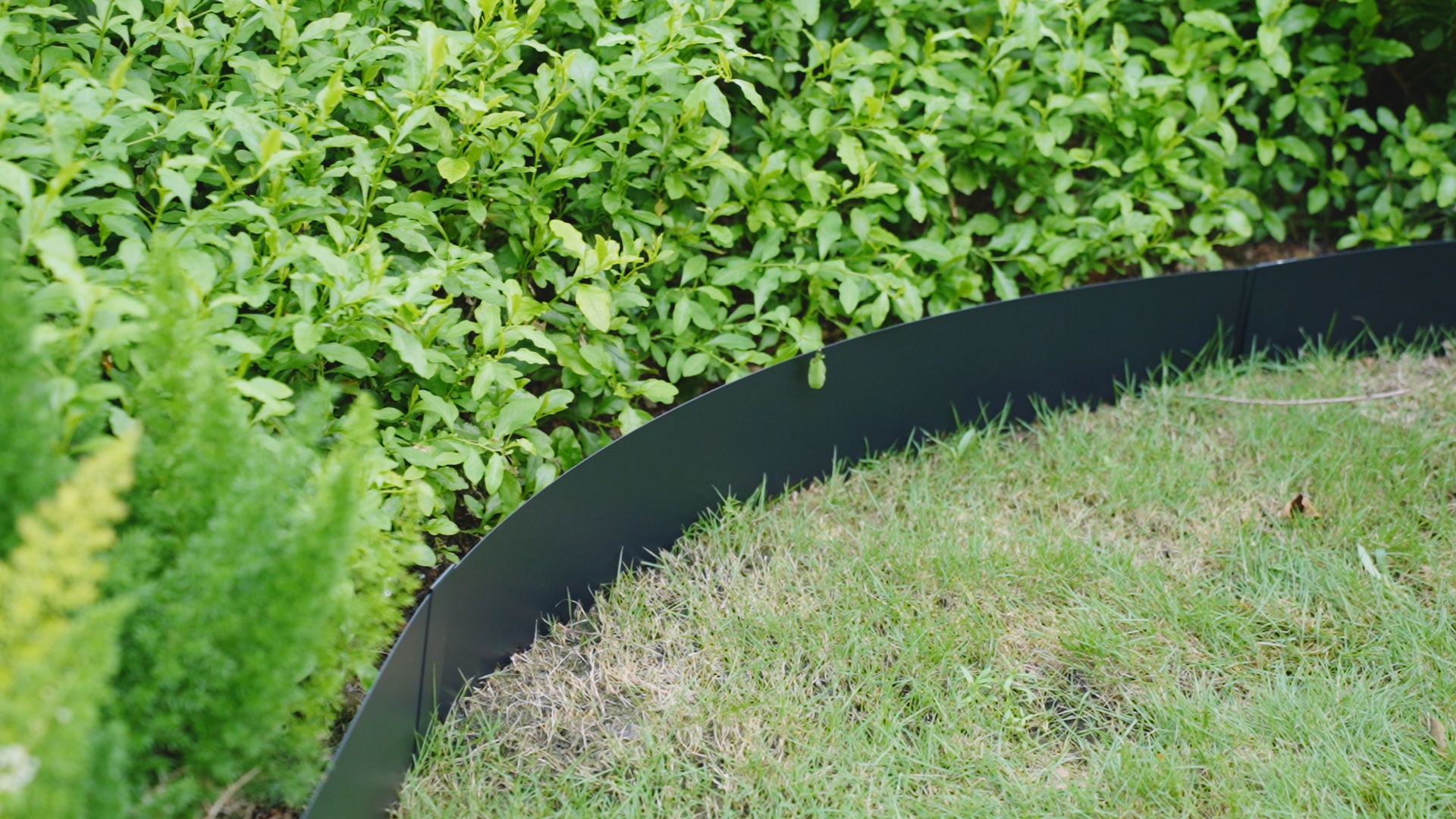 Amazon.com : Therwen 10 Pieces Steel Landscape Edging with 10