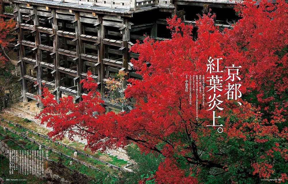 婦人画報 2016年 11月号 アジャスト版 | ハースト婦人画報社 |本