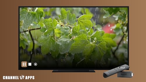 Som da Floresta de Chuva & Natureza: Sons Relaxantes da Floresta de Chuva para Dormir ou Estudar Son
