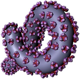 Bio Virus Structure in 3D Virtual Reality