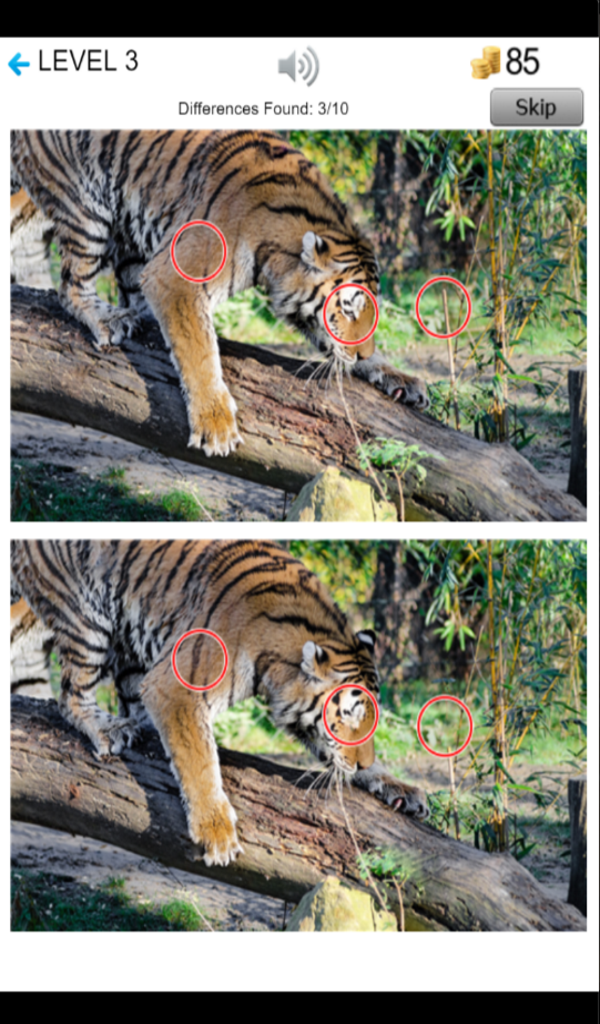 Find The Tiger Differences - App on Amazon Appstore