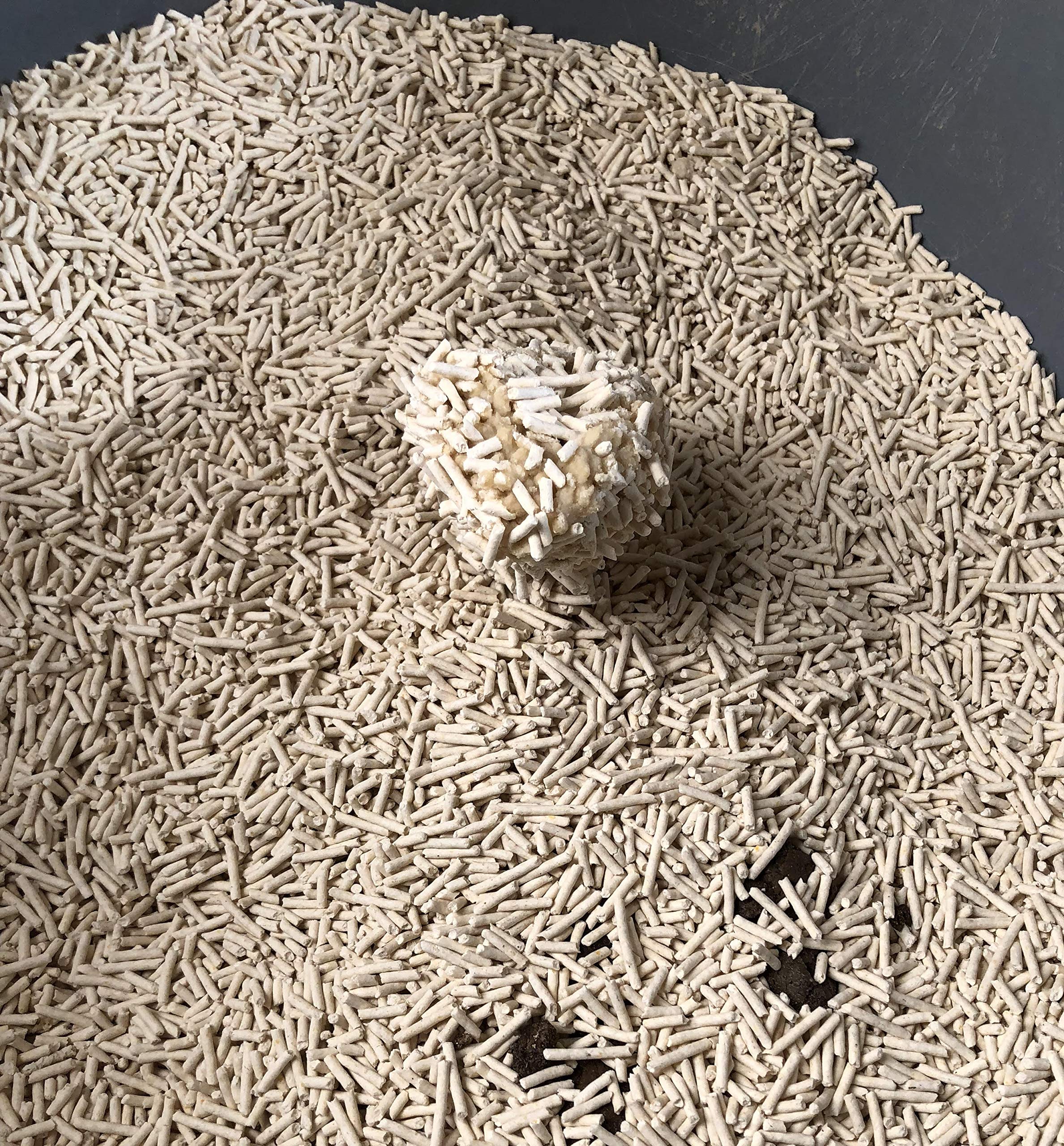 Litière Agglomérante Biologique Naturelle pour Chat - Contrôle des Odeurs Agglomérantes - Jetable - Longue Durée - Sans Poussière - Fermeture Éclair