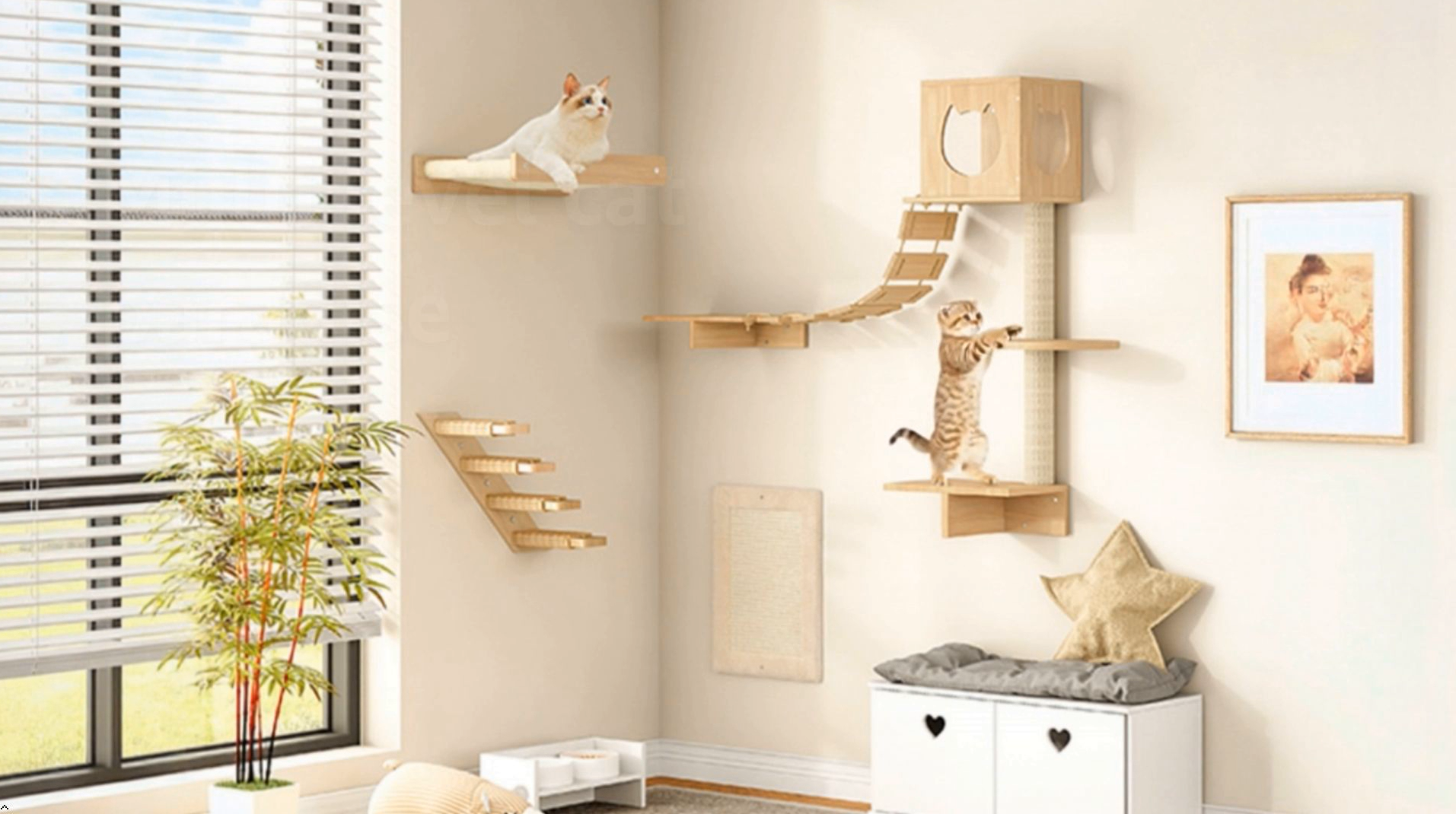 Amazon.com : HOOBRO Wood Cat Wall Shelves, Set of 5 Modern Cat
