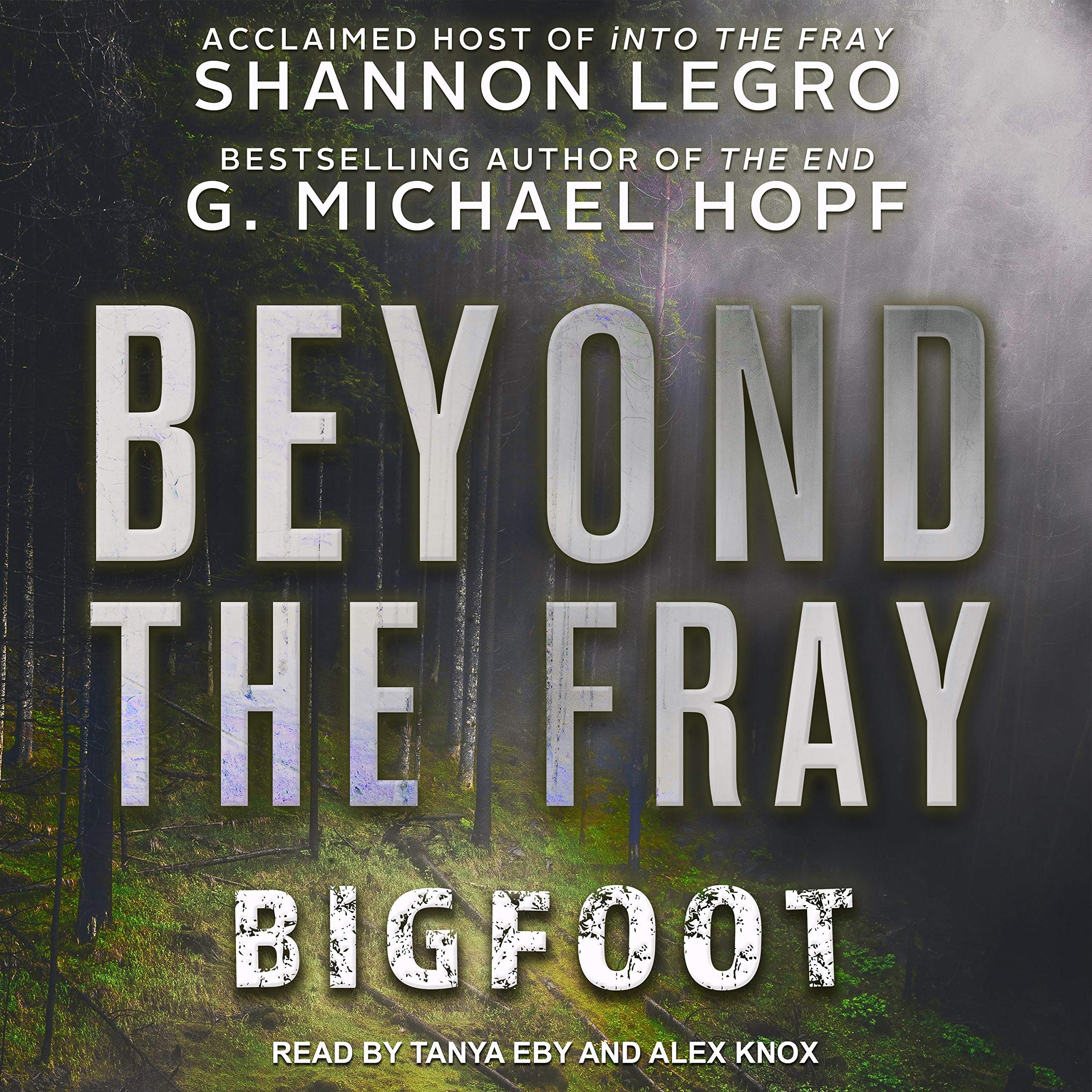 Cover art for Beyond The Fray