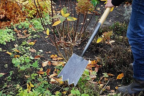 Miniatura 3 de DeWit Pala de dientes de tiburón, herramienta de jardín ligera