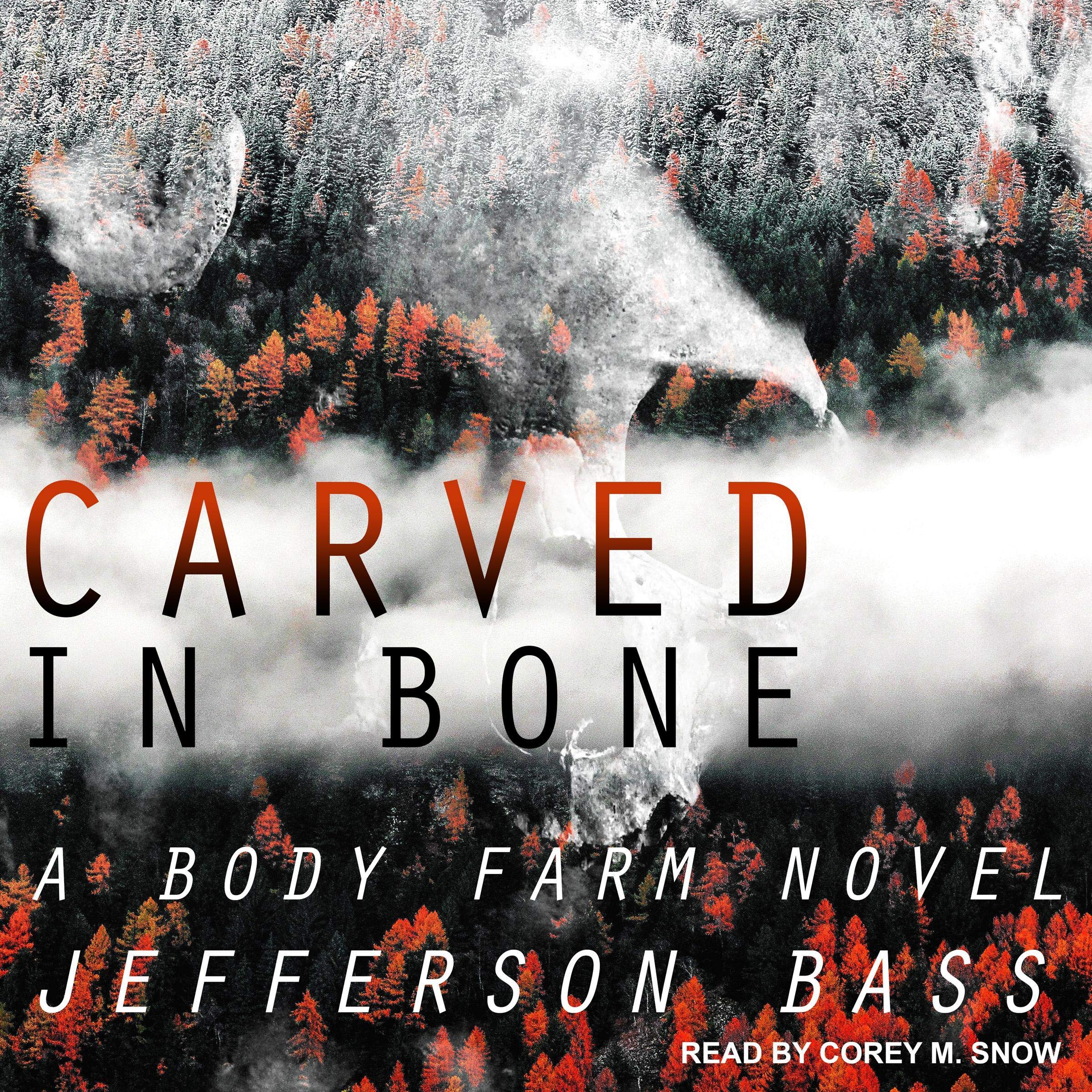 Cover art for Carved in Bone