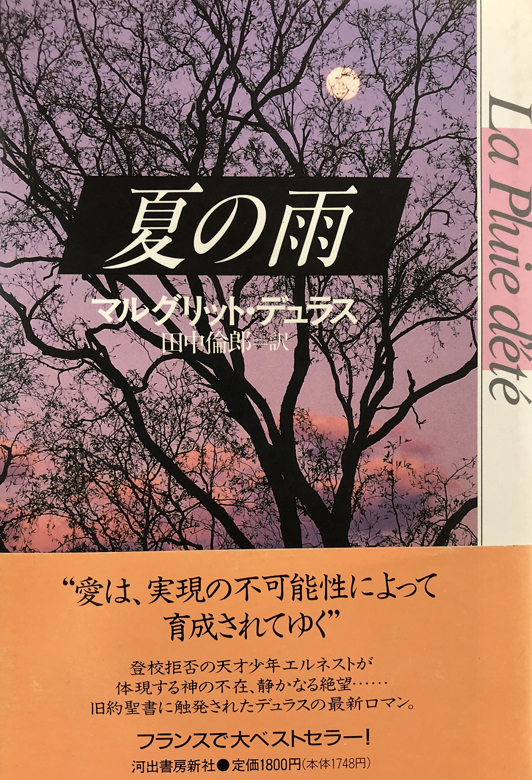 夏の雨 マルグリット デュラス 倫郎 田中 本 通販 Amazon 夏の雨 マルグリット デュラス 倫郎 田中 本 通販 Amazon