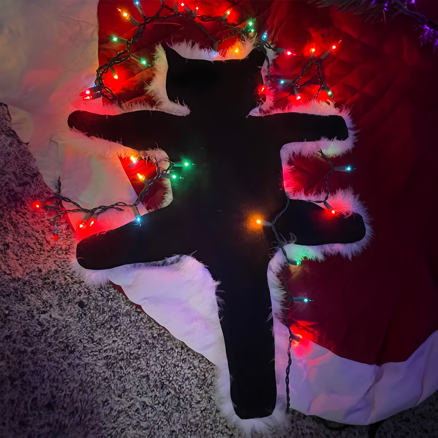 Amazon.com: BINGONE Light Up Fried Cat Rug, Fried Cat Decorative