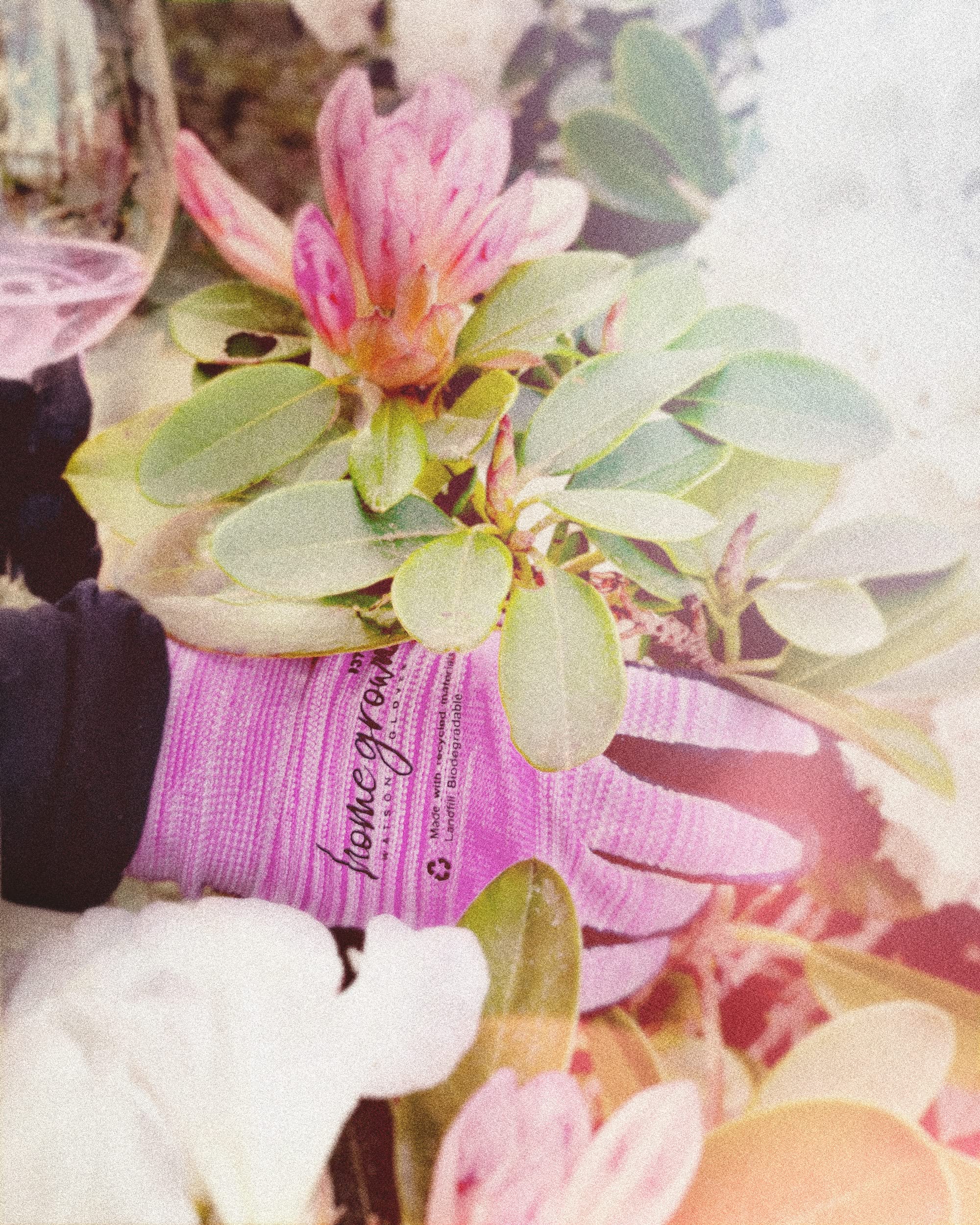 Watson Gloves (Mediano)