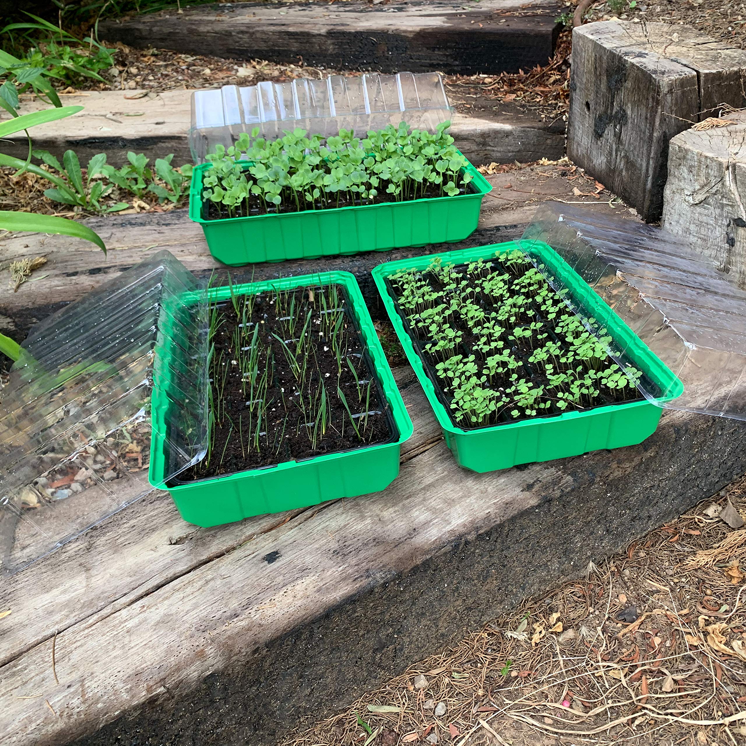 Mini Serra da Balcone germinazione Semi - 72 Alveoli per Semina Set Completo di 3 vaschette 3 cupole e 3 vasi per Semina da 24 vasetti l'uno - miniserra Semi Peperoncino e orto Urbano
