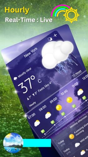 Local Live Weather 2023