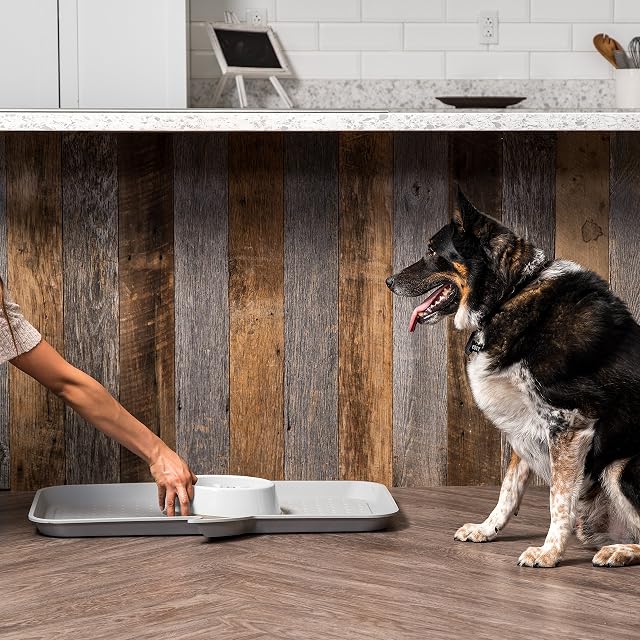 Foto 5 de 7 de IRIS USA - Cuenco de alimentación lenta para perros, 4 tazas, antiasfixia, antideslizante, fácil de limpiar…