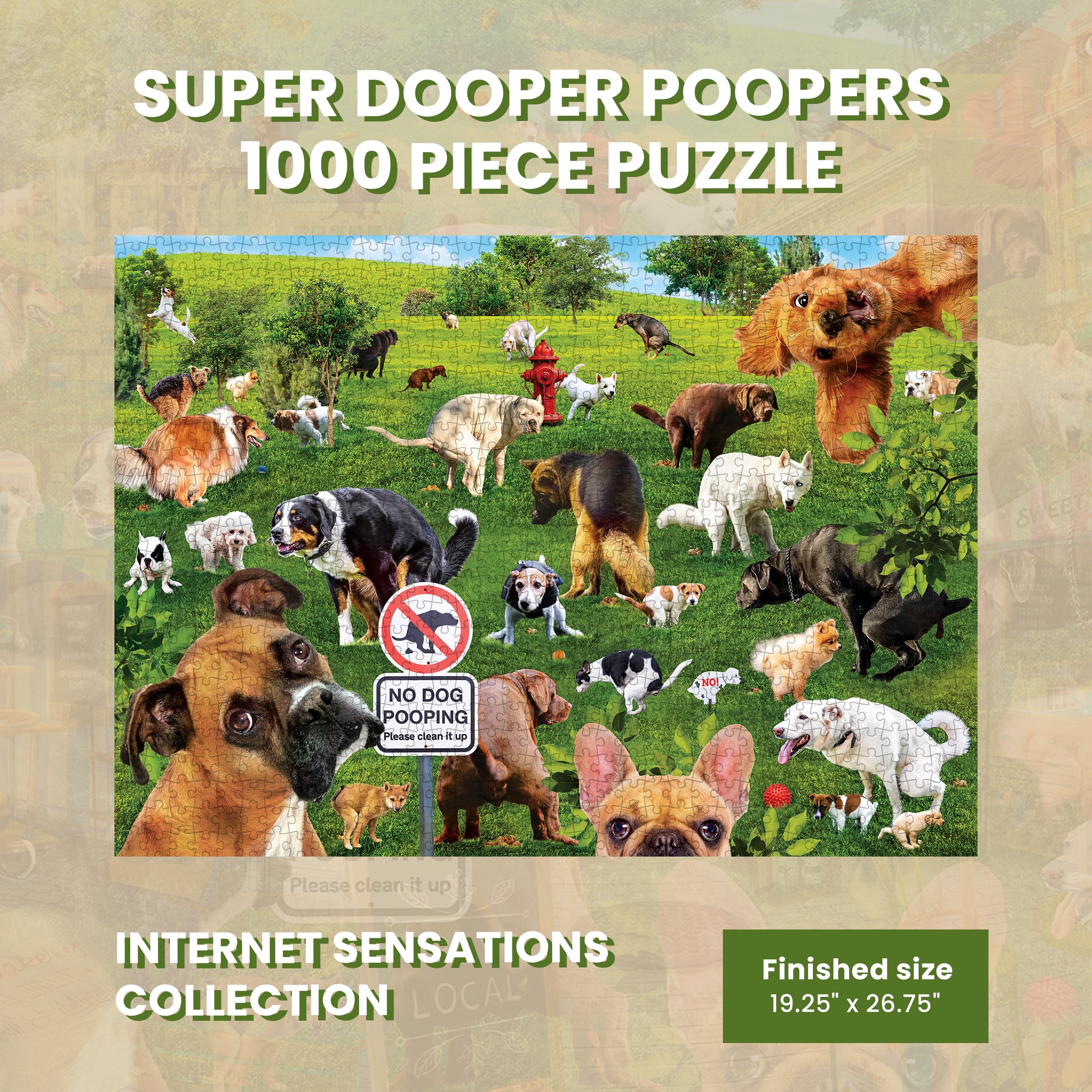 Amazon.com: MasterPieces 1000 Piece Jigsaw Puzzle for Adults