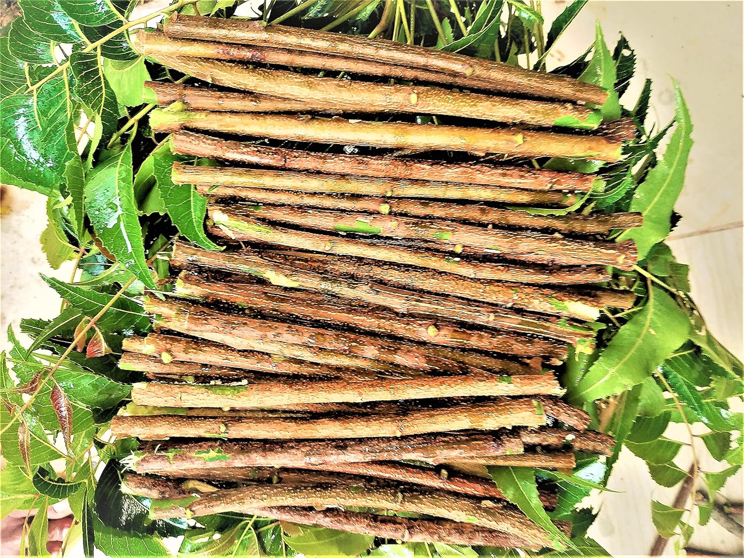 SAD neem datun Sticks Amazon.in Health & Personal Care