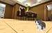 Kitten Cat Simulator 3D
