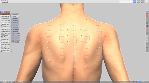 Master Tung`s Acupoint Anatomy