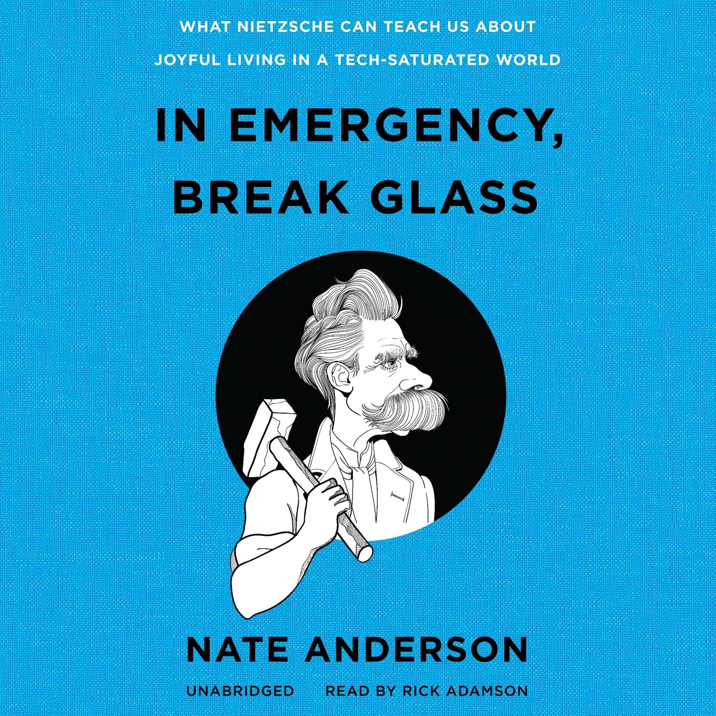 Cover art for In Emergency, Break Glass
