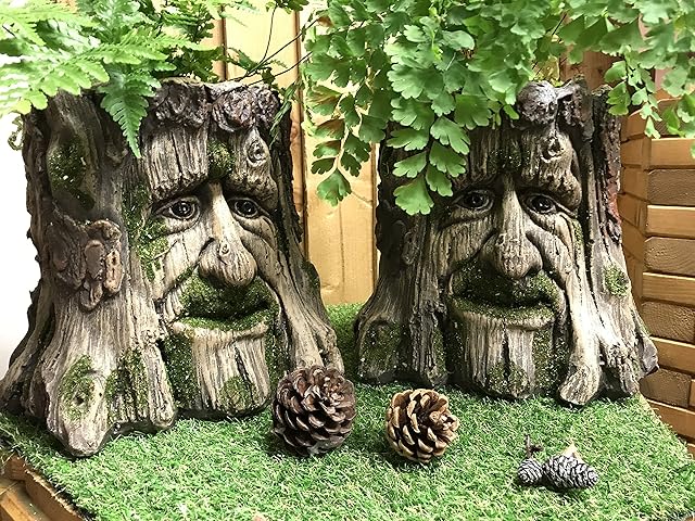 Mans Face Tree Trunk Stump Herb Flower Planter Garden Plant Box Bucket Pot Tub