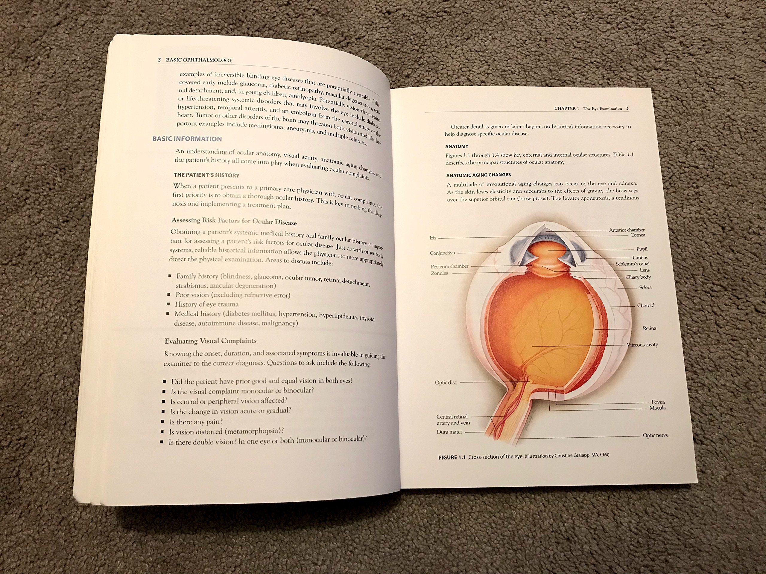 Basic Ophthalmology 1